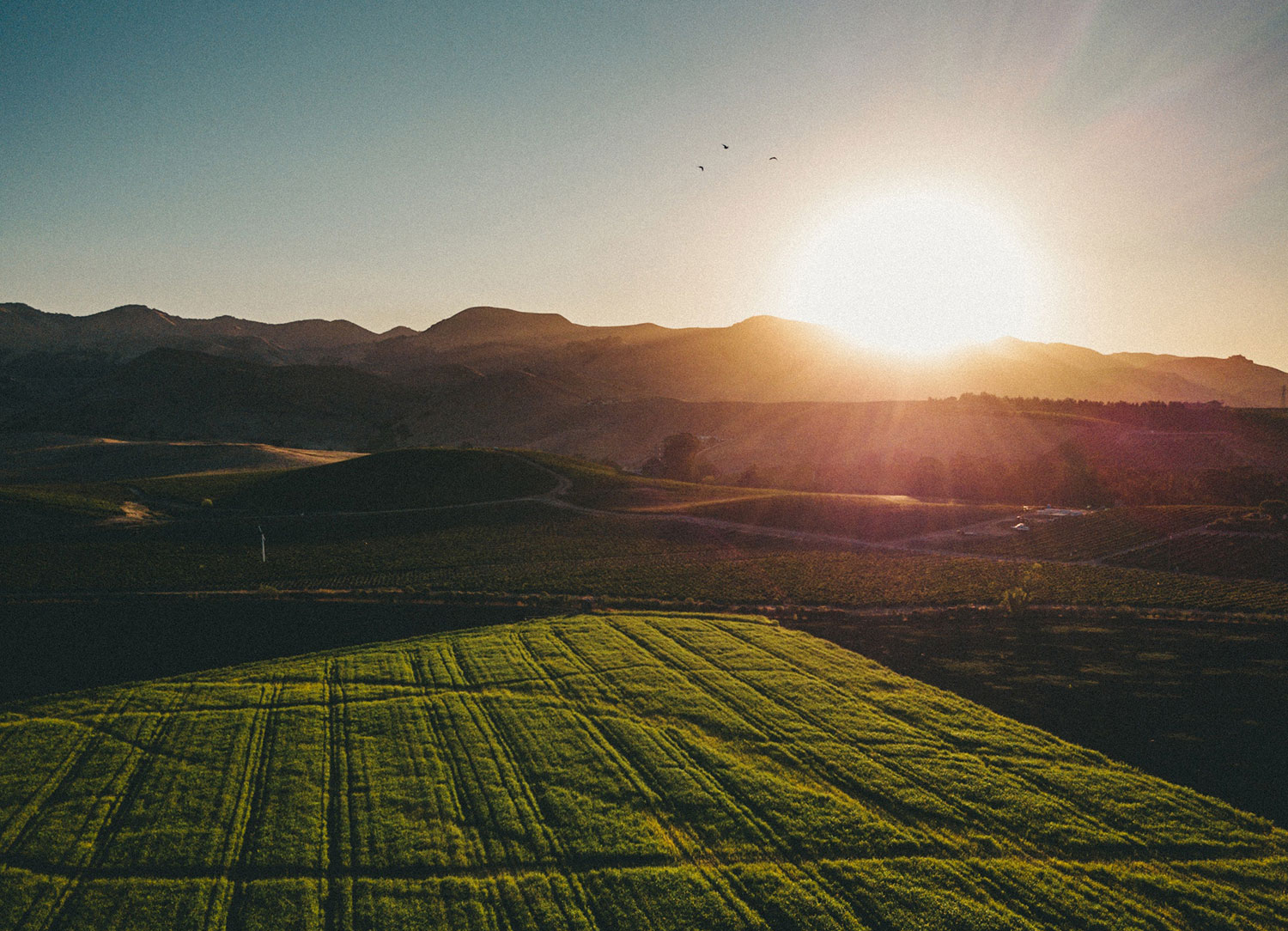 Oxford Blenheim Palace 2nd edition